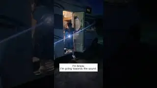 Nighttime RV Wildlife Attacks 
