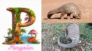 ABC of Wild Animals: A Nature's Tale But Is Alice Human Sacrifice 