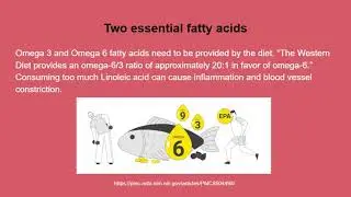 CVD and Mediterranean Diet