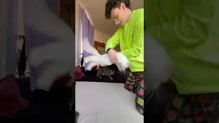 They ALL Deserve a treat 🥰#pov #cats #straykitten #kitten #newbornkittens