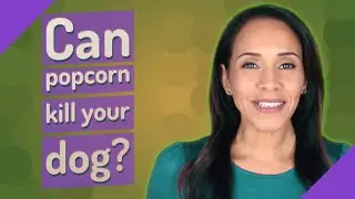 Can popcorn kill your dog?
