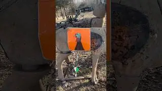 #huntingseason #turkey #goodshot