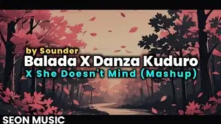 Balada X Danza Kuduro X She Doesn't Mind (Mashup by Sounder)