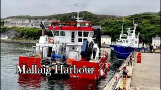 Mallaig Harbour # Scotland #Uk