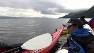 Orca Camp, Vancouver Island, BC - Orcas coming right at us (Wildcoast Adventures)