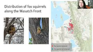2023 Fox Squirrel Data Showcase