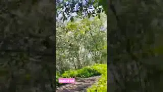കേറിയിട്ടും കേറിയിട്ടും തിരുന്നില്ലല്ലോ .....
