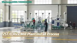 25T/D Rice Processing Production Line Manufacturer-Co-Grain Rice Mill #ricemillsupplier #ricemill
