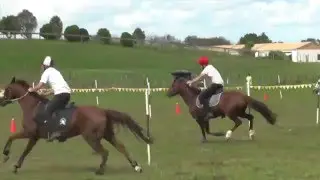 Mounted Games - NZ Open Individuals 2016