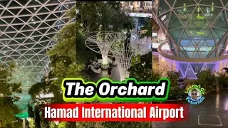 Where to find the Orchard (Tropical Indoor Garden) at Hamad International Airport ✈️