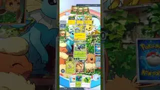 Pokemon TGC Match
