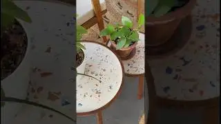 Make a Terrazzo Plant Stand in 60 seconds #diyterrazzo #terrazzo #crafts