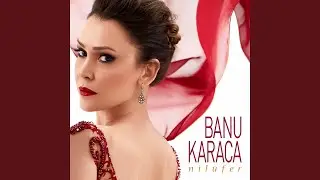 Nilüfer