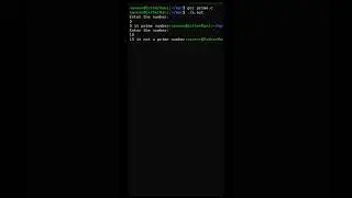 Prime Number Check in C 🔥 | Programming Shorts