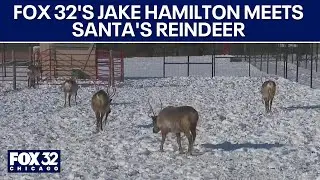 FOX 32's Jake Hamilton meets Santa's reindeer
