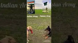 Indian dog vs Pakistani dogs 👿👿#ytshorts#youtubevideo#army