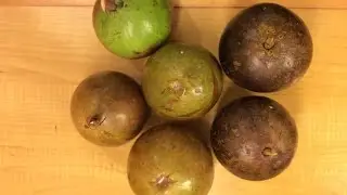 STAR APPLE || Fruit Review 3