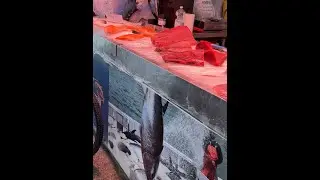 S,3, Ep : 26. Spain, the Sea & the EU: Tuna, Cod and the Fishing Soul of a Nation.