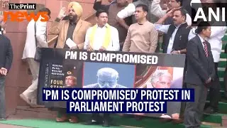 Congress MPs hold 'PM is compromised' protest at the stairs of Parliament