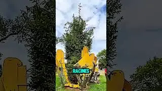 Cette machine impressionnante d&eacute;place des arbres entiers ! 🌳🚜