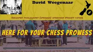 My 3rd chess endgame study for you ~ Dave NZ