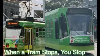 When a Tram Stops, You Stop Compilation (D2 5003 and Z3 130) | Melbourne Transport