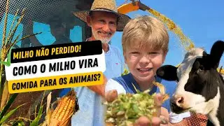 Aventura no Campo - Como o Milho Vira Comida para os Animais?  Silagem Divertida