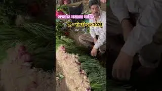 Rajkot market yard 29/10/2025bhaji masala #rajkot #vegetables #agriculture