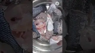 শোল মাছের  ঝোল  সহজ  ও  সুস্বাদু   একটি রেসিপি । shol fish curry recipe ।#shorts #food #recipe