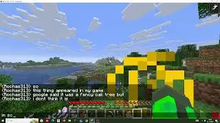 weird tree thing in my mc world