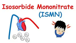 Изосорбида мононитрат &mdash; механизм действия, меры предосторожности, побочные эффекты и применение