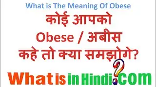 What is the meaning of Obese in Hindi | Obese ka matlab kya hota hai