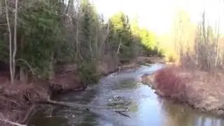 Down By The River  !!!