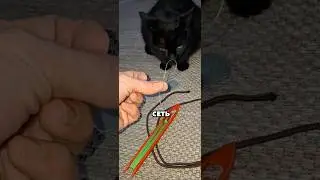 How to Make a Fishing Spider | Spider Fishing