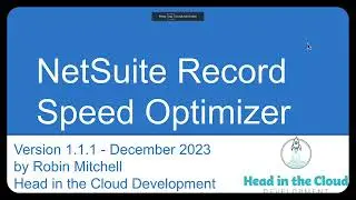 Head in the Cloud - NetSuite Record Speed Optimizer