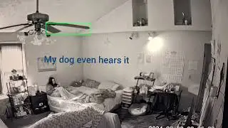 ghostly activities caught on camera