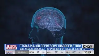 Insight: New study focuses on PTSD and Major Depressive Disorder