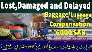 Lost, Damaged & Delayed Baggage/Luggage Compensation |  ائیرپورت پرسامان گم ہوتوکتنے پیسے ملے گے  |