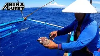 Pangingisda Gamit ang BATO | Catch Ruby Snapper