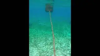 The Old Buoy and the Sea #underwater #coral #reef #buoy