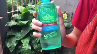 Green Cross Ethyl Alcohol Advertisement