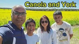 Canola flowers and visit to York Town