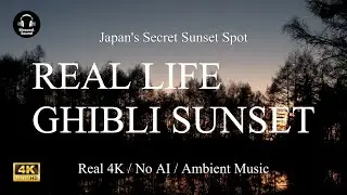 5-Minute Brain Detox: Magical Mirror Pond Sunset & Ambient Music (No AI)
