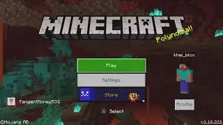 Minecraft 1.16 - Ps5 Gameplay - Part 1