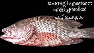 How to chemballi cutting at home // Easy fish cutting //ചെമ്പല്ലി മീൻ കട്ടിംഗ്