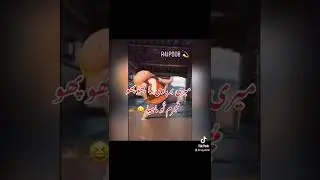 Punjabi funny tappe