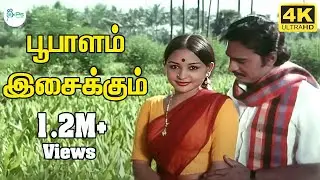 பூபாளம் இசைக்கும் || Bhoopalam Isaikkum ||K. J. Yesudas, Uma Ramanan ||Love Duet H D Song