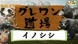 【７１２頭】グレワン道場-イノシシ再々鍛錬-_#529【theHunter：生配信】
