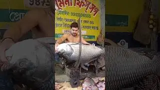 Katla fish cutting |Katla fish cutting skills|Katla fish cutting Kolkata|California fish grill