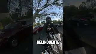 buenos dias